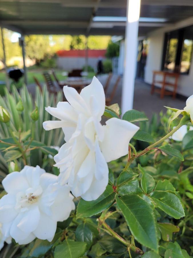 Ayana Bnb Μπλουμφοντέιν Εξωτερικό φωτογραφία